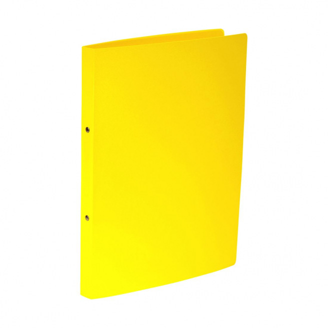 Classeur à 2 anneaux en plastique souple - A4 - dos 2,2 cm Classeur à 2 anneaux en plastique souple - A4 - dos 2,2 cm