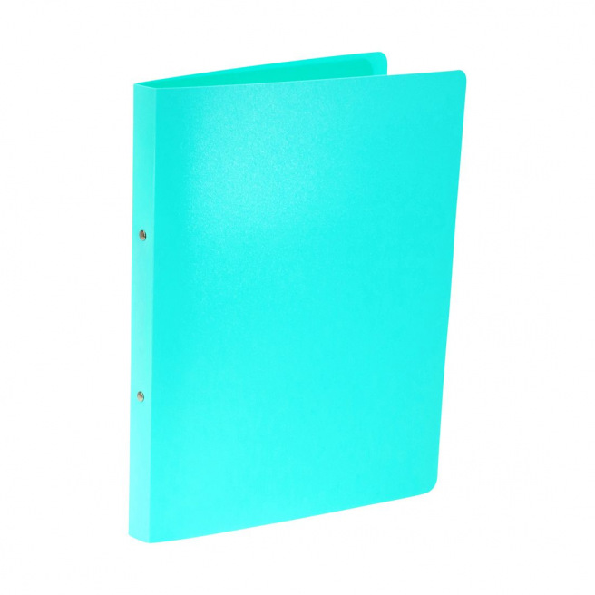 Classeur à 2 anneaux en plastique souple - A4 - dos 2,2 cm Classeur à 2 anneaux en plastique souple - A4 - dos 2,2 cm