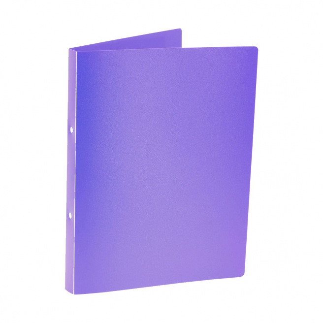 Classeur à 2 anneaux en plastique souple - A4 - dos 2,2 cm Classeur à 2 anneaux en plastique souple - A4 - dos 2,2 cm