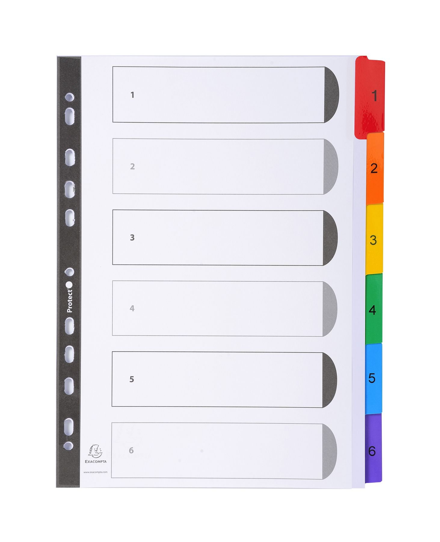 Doos 100 doorzichtige mapjes Polypropyleen 9/100 geassorteerde kleuren op