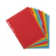 Exacompta scheidingsbladen met neutrale tabs - 220 g gekleurd karton