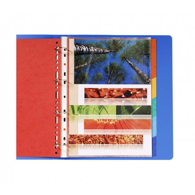 Exacompta scheidingsbladen met neutrale tabs - 220 g gekleurd karton