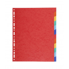 Exacompta scheidingsbladen met neutrale tabs - 220 g gekleurd karton