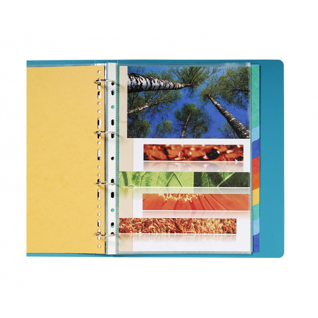 Exacompta scheidingsbladen met neutrale tabs - 220 g gekleurd karton