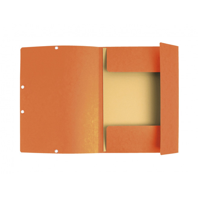 Exacompta map met flappen en elastieken in karton - A4 Exacompta map met flappen en elastieken in karton - A4