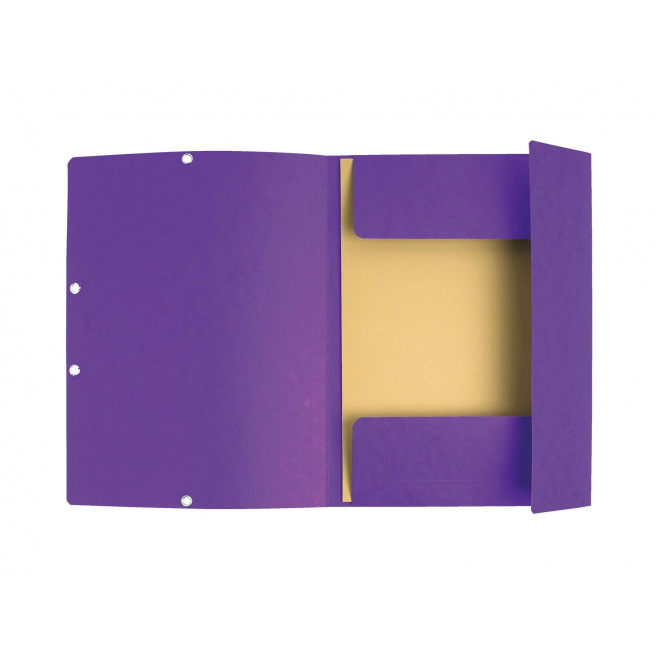 Exacompta map met flappen en elastieken in karton - A4 Exacompta map met flappen en elastieken in karton - A4