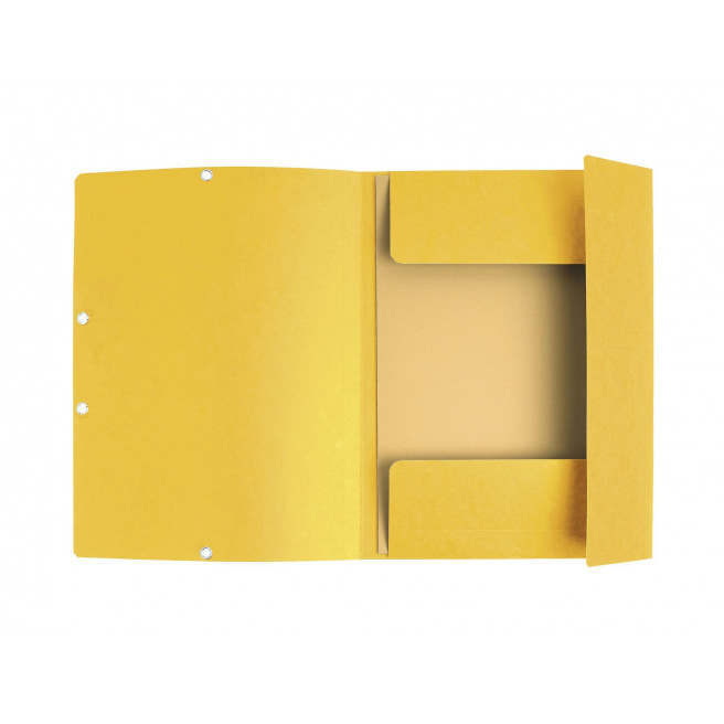 Exacompta map met flappen en elastieken in karton - A4 Exacompta map met flappen en elastieken in karton - A4