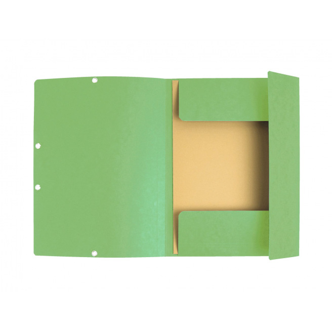 Exacompta map met flappen en elastieken in karton - A4 Exacompta map met flappen en elastieken in karton - A4