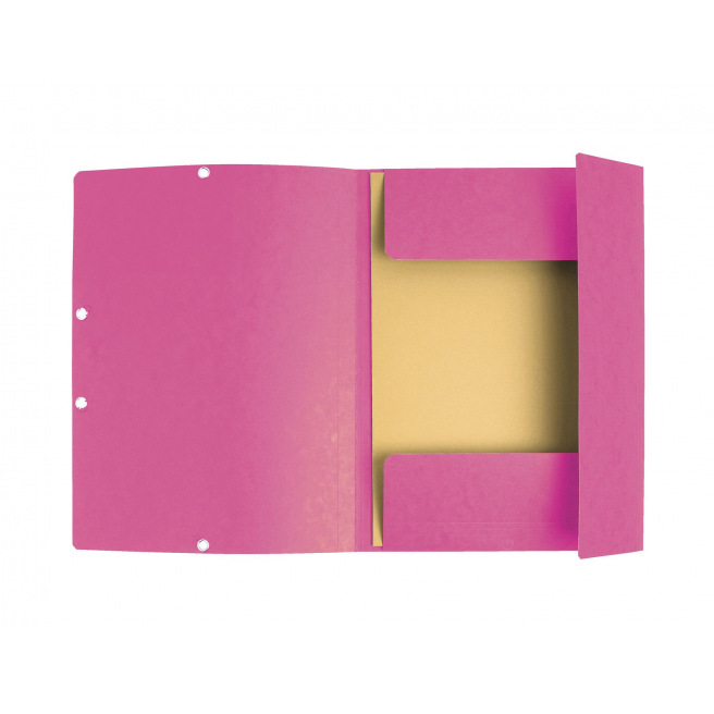 Exacompta map met flappen en elastieken in karton - A4 Exacompta map met flappen en elastieken in karton - A4