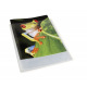 Presentatiemap met hoesjes Exacompta CHROMALINE KREACOVER personaliseerbaar A4