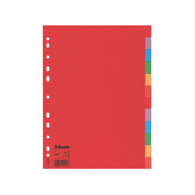 Intercalaires à onglets neutres Esselte - carton de couleur 160 g - A4