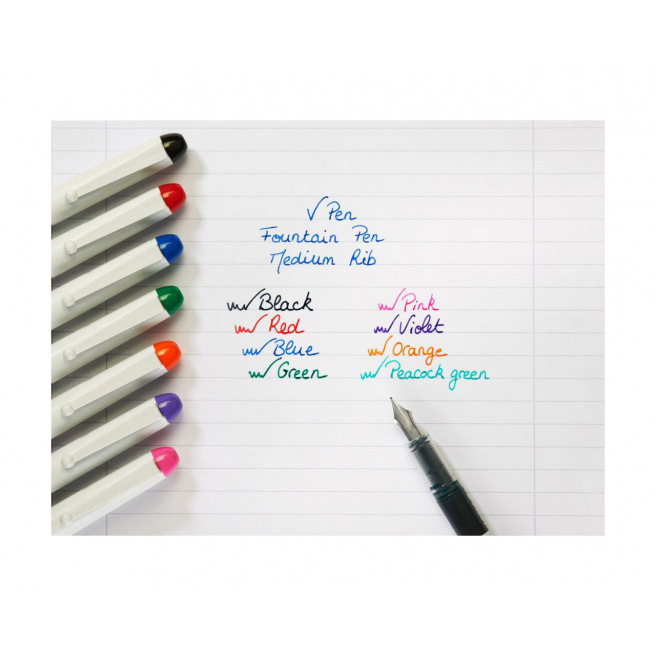 Stylo-plume Pilot V PEN effaçable