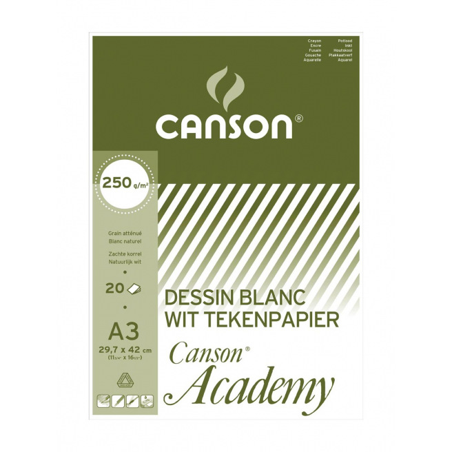 Bloc de papier dessin CANSON ACADEMY 250 g Bloc de papier dessin CANSON ACADEMY 250 g