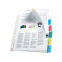 Esselte neutrale tabbladen in plastic showtassen - A4 maxi