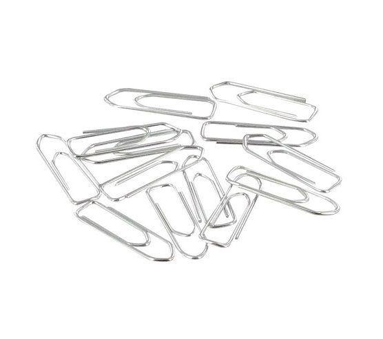 Set de brochettes pour Grill 100 cm | Comprenant 4 Aiguilles à Viande