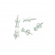 Punaises Push Pins