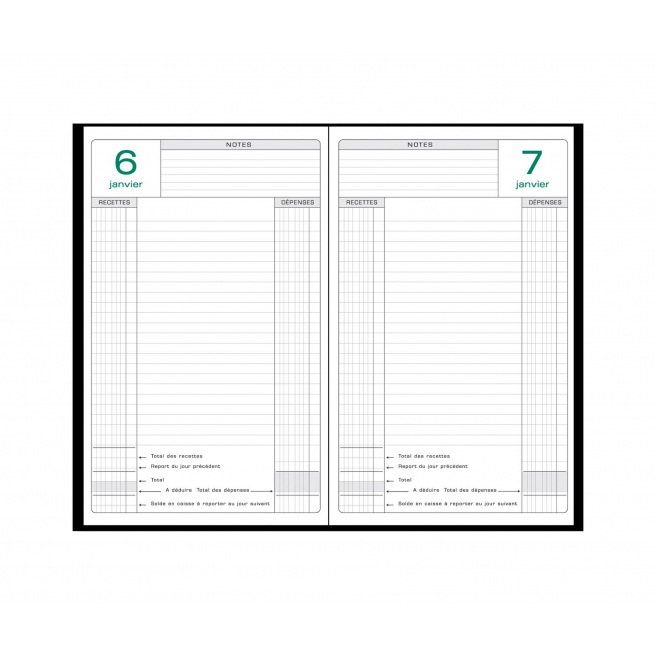 Agenda journalier perpétuel de caisse Exacompta - 14,8 x 21 cm Agenda journalier perpétuel de caisse Exacompta - 14,8 x 21 cm
