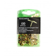 Punaises - doos van 100 Punaises - doos van 100