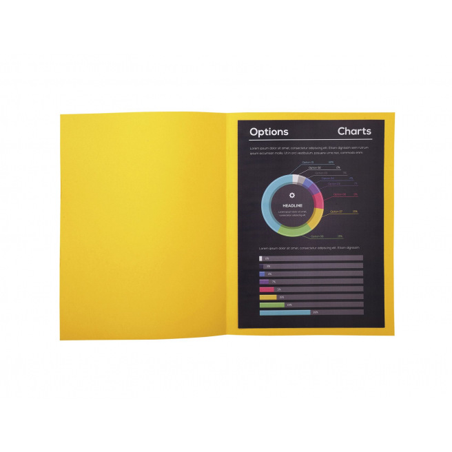 Sous-chemises Exacompta ROCK"S en papier 80 g - A4