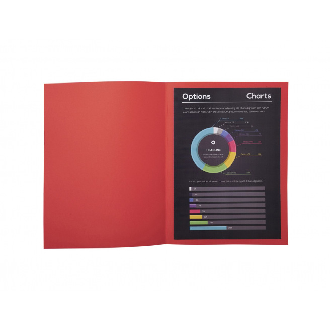 Sous-chemises Exacompta ROCK"S en papier 80 g - A4