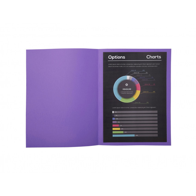 Chemises Exacompta ROCK"S en carton 210 g - A4