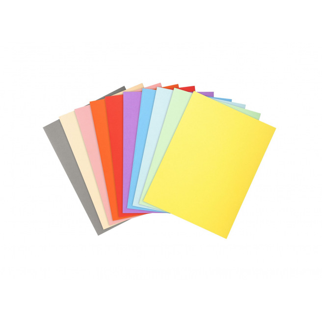 Exacompta FOREVER kartonnen overhemden 170 g - A4 - assortiment van kleuren
