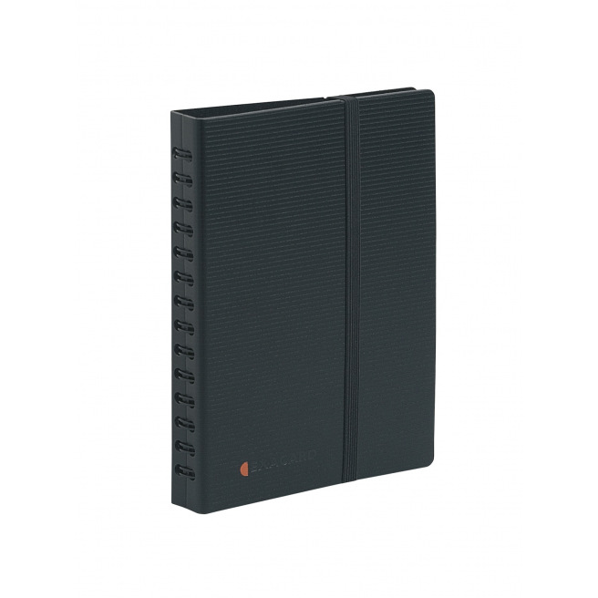 Album Exacompta EXACARD EXACTIVE pour 120 cartes de visite - 14,5 X 20 cm Album Exacompta EXACARD EXACTIVE pour 120 cartes de visite - 14,5 X 20 cm