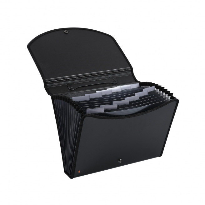 Sorteerder koffertje Exacompta EXACASE EXACTIVE - 13 vakken Sorteerder koffertje Exacompta EXACASE EXACTIVE - 13 vakken