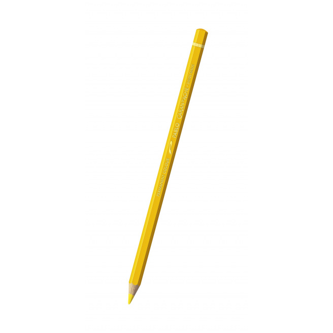 Gekleurd potlood Caran d'ache PABLO Gekleurd potlood Caran d'ache PABLO