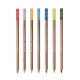Pastel potlood Caran d'ache PASTEL PENCIL