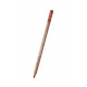 Pastel potlood Caran d'ache PASTEL PENCIL