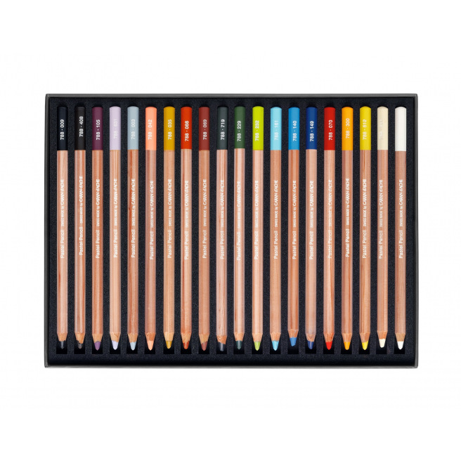 Crayon pastel Caran d'ache PASTEL PENCIL