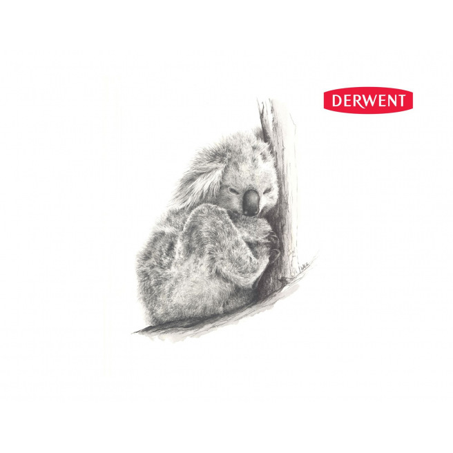 Crayon Derwent SKETCHING Crayon Derwent SKETCHING