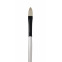 Daler-Rowney GRADUATE penseel - varkenshaar - kattentong - lange steel