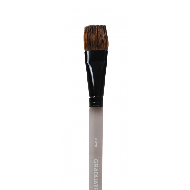 Daler-Rowney GRADUATE Penseel - synthetische/pony haren - wassing - korte steel