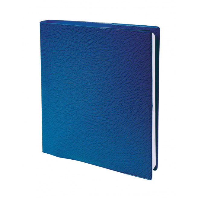 Agenda Quo Vadis EXECUTIF - 16 x 16 cm - 1 semaine sur 2 pages Agenda Quo Vadis EXECUTIF - 16 x 16 cm - 1 semaine sur 2 pages