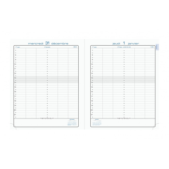 Agenda Exacompta JOURNEE PLANIFIEE 22 - 18 x 22,5 cm - 1 jour par page