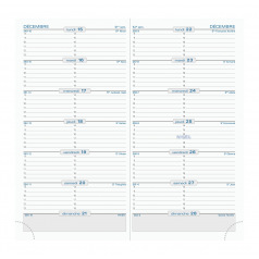Agenda Exacompta SL 17 - 9 x 17,5 cm - 1 week per pagina