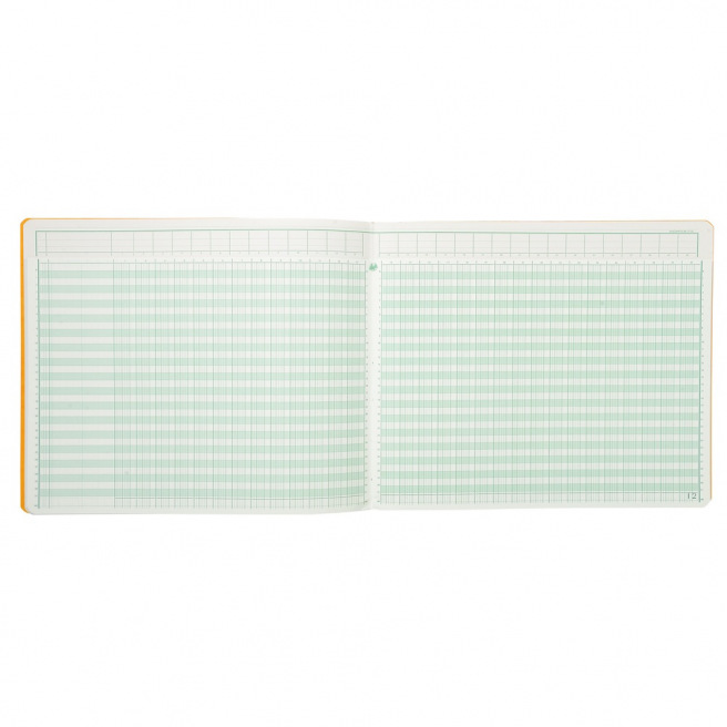 Registre Exacompta à COLONNES avec TÊTE PARESSEUSE Registre Exacompta à COLONNES avec TÊTE PARESSEUSE