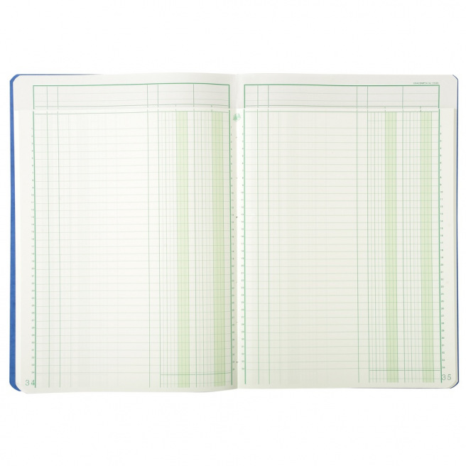 Registre Exacompta à COLONNES avec TÊTE PARESSEUSE Registre Exacompta à COLONNES avec TÊTE PARESSEUSE