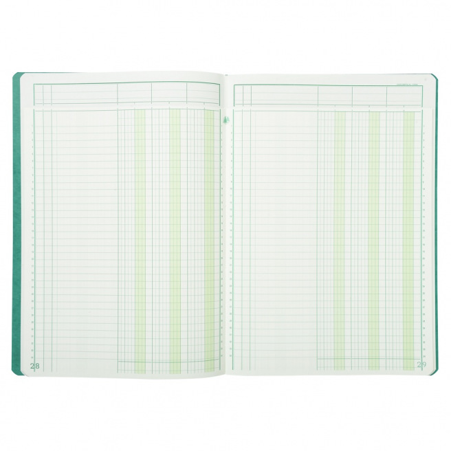 Registre Exacompta à COLONNES avec TÊTE PARESSEUSE Registre Exacompta à COLONNES avec TÊTE PARESSEUSE