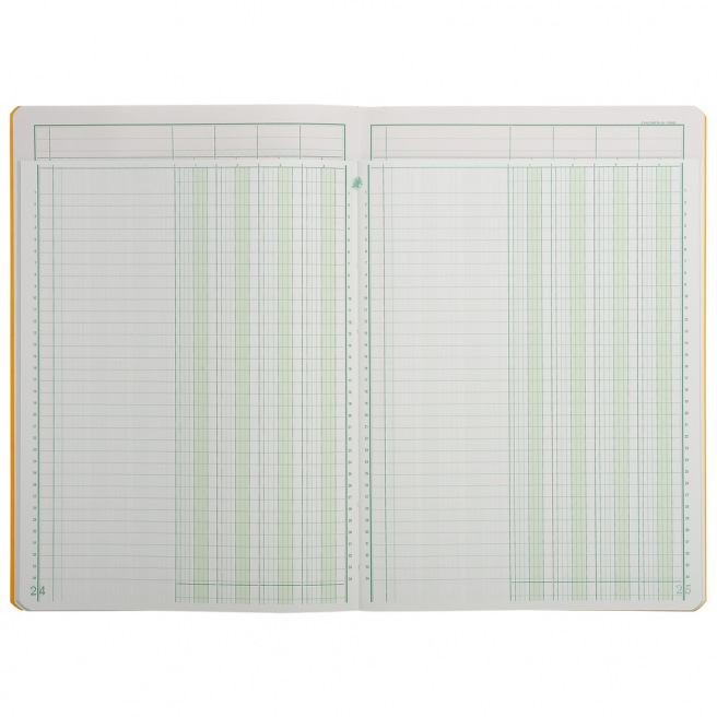 Registre Exacompta à COLONNES avec TÊTE PARESSEUSE Registre Exacompta à COLONNES avec TÊTE PARESSEUSE