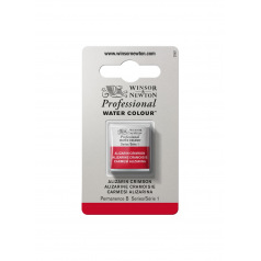 Aquarelle professionnelle Winsor & Newton Aquarelle professionnelle Winsor & Newton