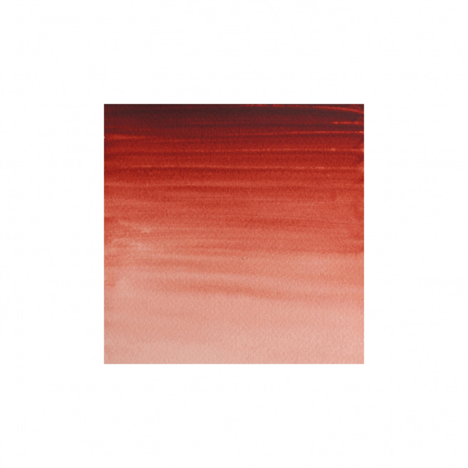 Professionele Winsor & Newton aquarelverf