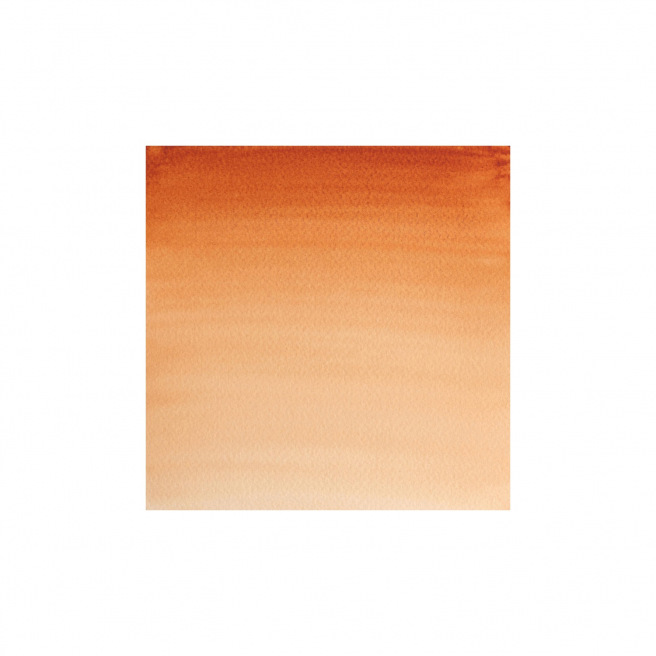 Professionele Winsor & Newton aquarelverf