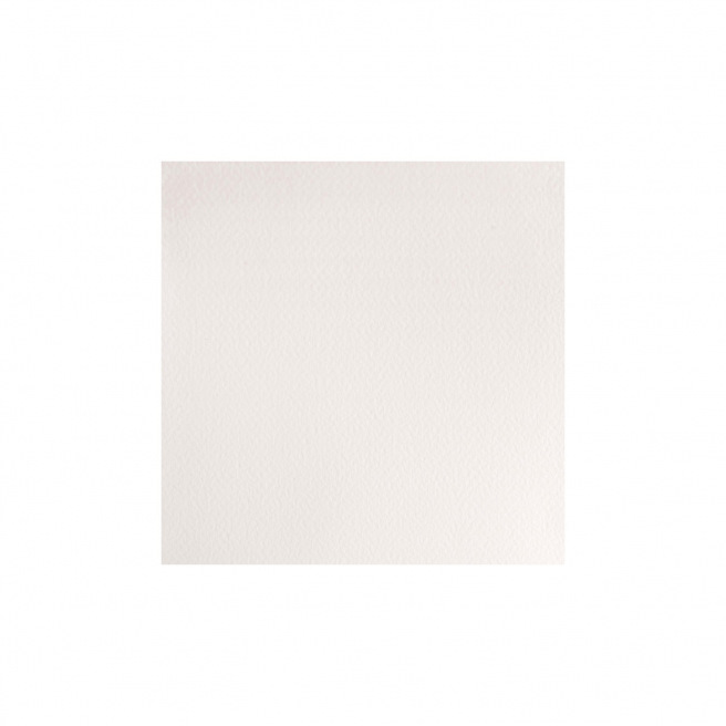 Professionele Winsor & Newton aquarelverf