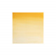 Professionele Winsor & Newton aquarelverf