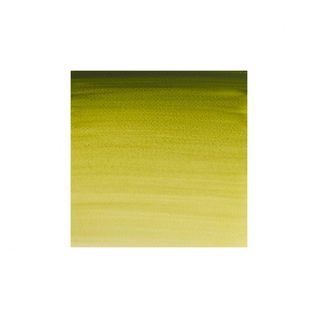 Professionele Winsor & Newton aquarelverf