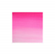 Professionele Winsor & Newton aquarelverf