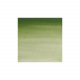 Professionele Winsor & Newton aquarelverf